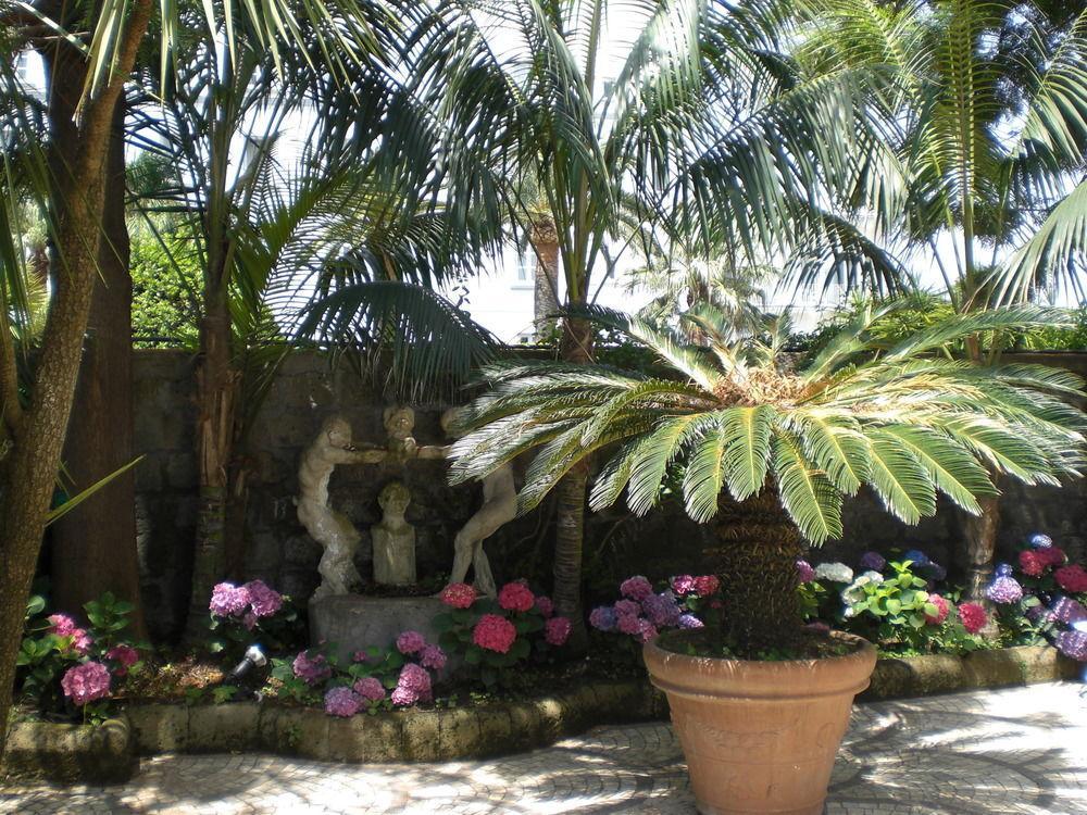 Villa Dei D'Armiento Sant'Angelo  Экстерьер фото